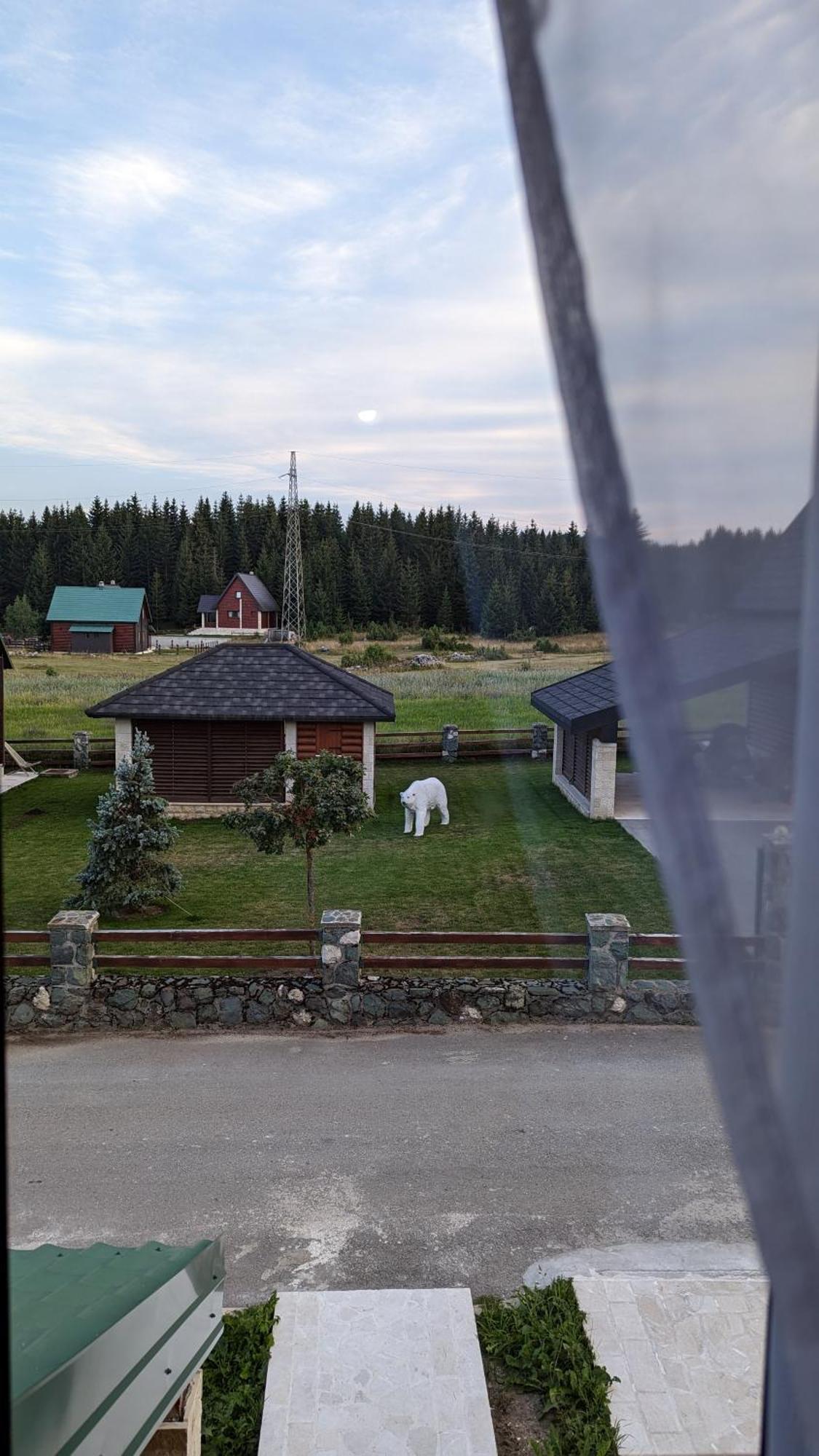 Mountain Haven Deluxe Leilighet Žabljak Eksteriør bilde